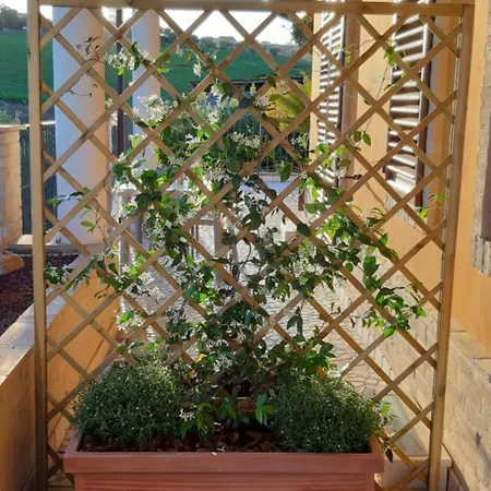 Agrifoglio فندق مبيت وإفطار SantʼElpidio a Mare