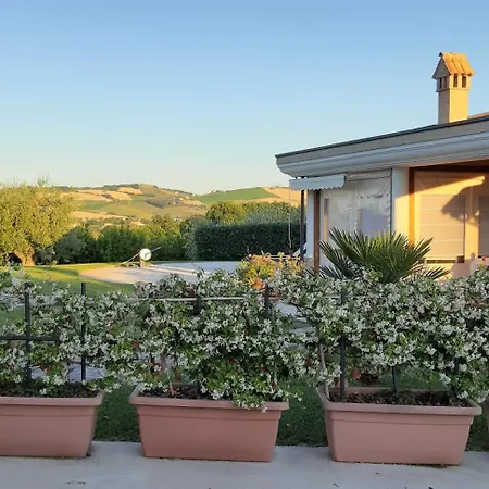 Agrifoglio 3* SantʼElpidio a Mare