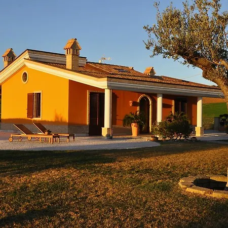 Agrifoglio
